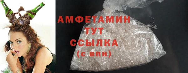 шишки Беломорск