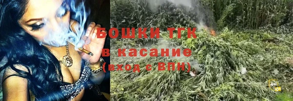 шишки Беломорск