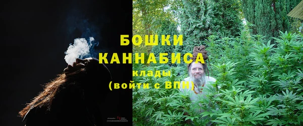 шишки Беломорск
