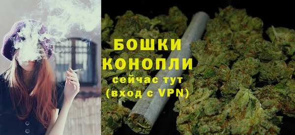 шишки Беломорск