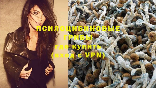 амф Белоозёрский
