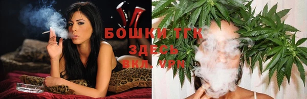 шишки Беломорск